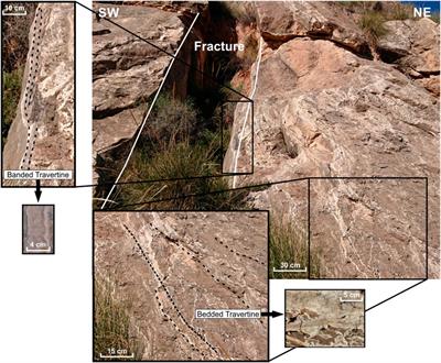 Analysis of a travertine system controlled by the transpressional activity of the Alhama de Murcia fault: The Carraclaca site, eastern Betic Cordillera, Spain
